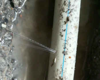 沿河卫生间测漏水多少钱